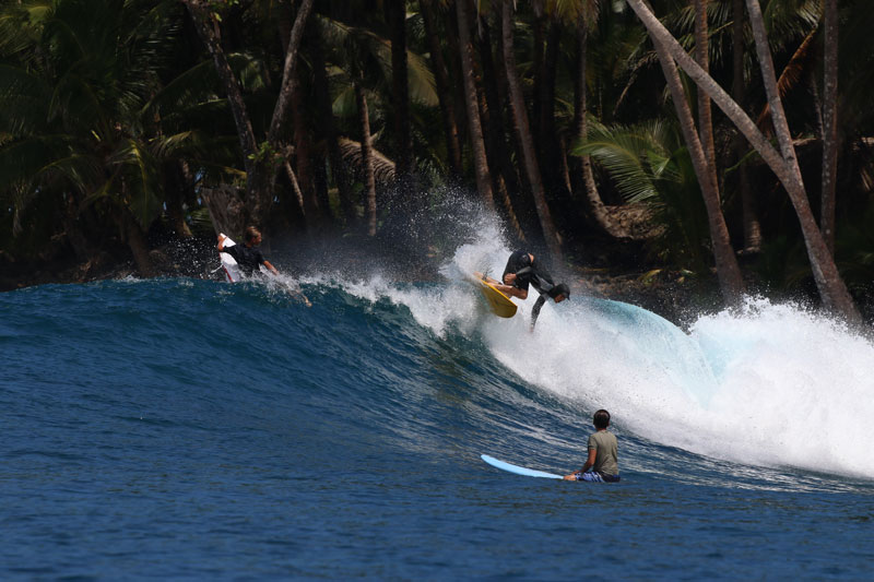 Surfers riding waves near palm trees on a sunny day.