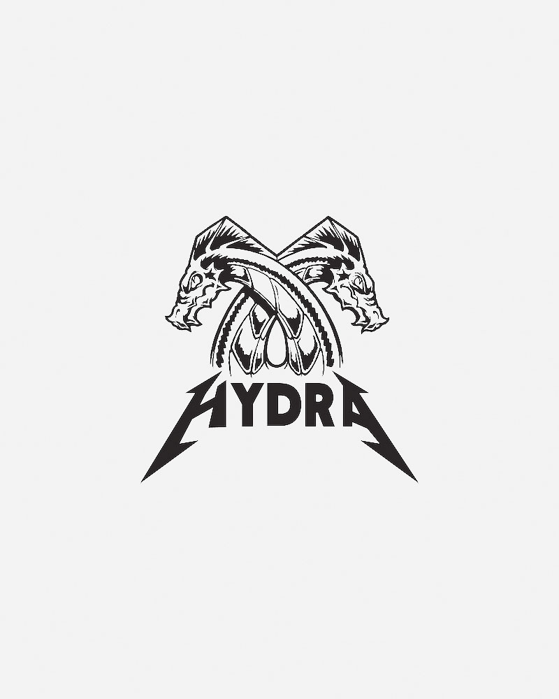 Logo featuring two dragon heads and the word "HYDRA.