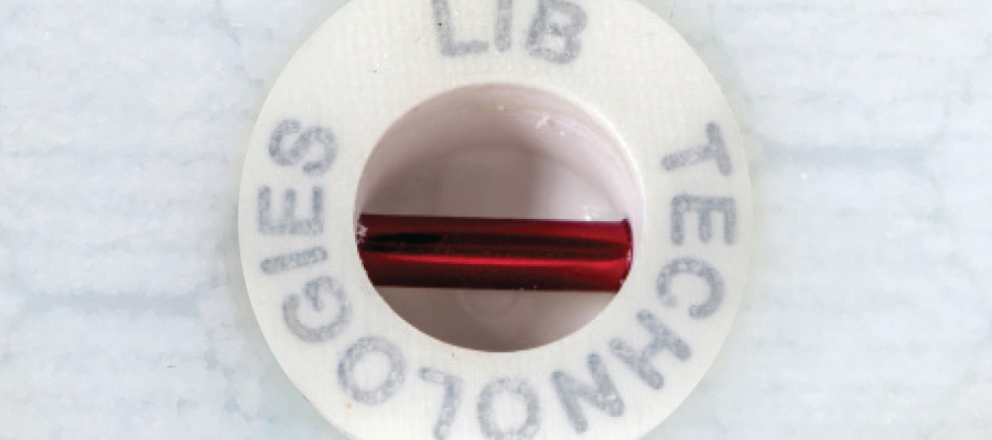 Surfboard leash plug with red insert and "LIB TECHNOLOGIES" text.