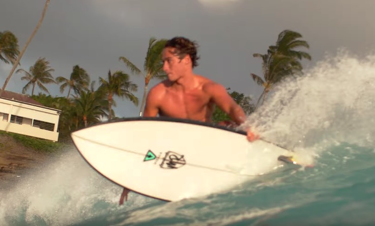 Surfer riding a wave with palm trees in the background.